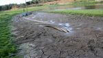 Embung Grojogan di Jombang Mengering
