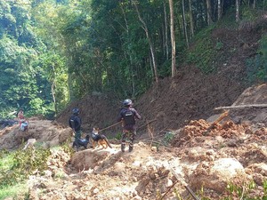 Empat Anjing Pelacak Dikerahkan Cari Petani Tertimbun Longsor di Cianjur