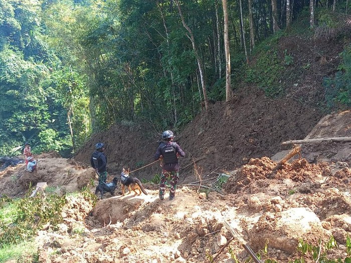 Empat anjing pelacak diturunkan untuk mencari korban longsor