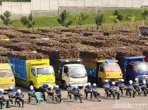 Pabrik Gula Blitar Respons Lahan Tebu Non Prosedural Rugikan Negara Rp 38 M