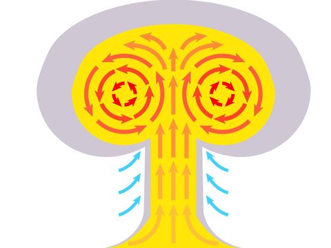 Ilustrasi terbentuknya jamur raksasa saat bom nuklir meledak