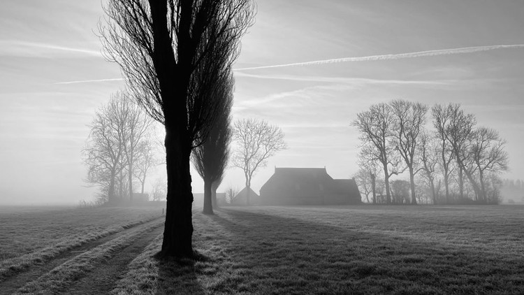 iPhone Photography Awards 2023