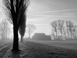 Karya Jawara Kontes Foto iPhone Bikin Terkesima