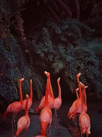 iPhone Photography Awards 2023