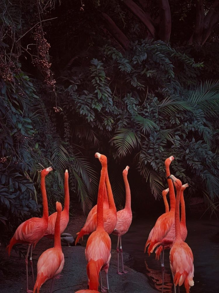 iPhone Photography Awards 2023