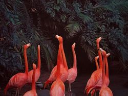 Karya Jawara Kontes Foto iPhone Bikin Terkesima