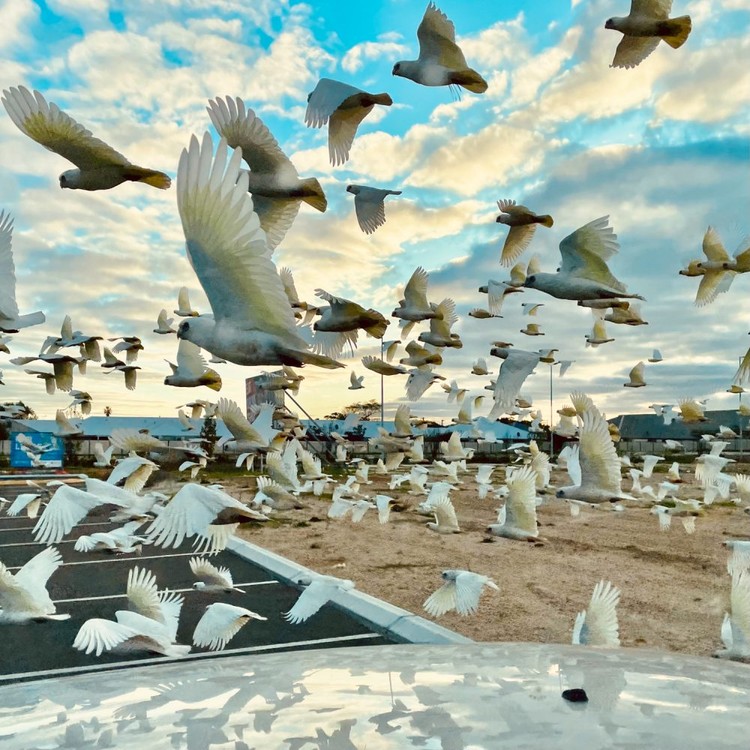 iPhone Photography Awards 2023