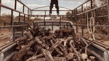 Pemenang utama Ivan Silva dari Meksiko menggunakan iPhone 12 Pro. Foto: iPhone Photography Awards