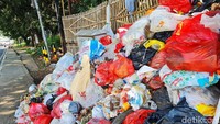 Sampah plastik tidak bisa terurai begitu saja. Jadi sampah yang didominasi plastik itu akan menciptakan berbagai macam bahaya.