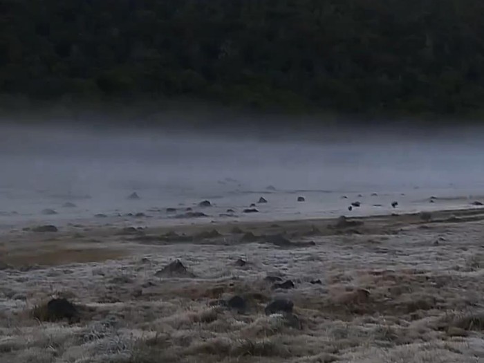 Kawasan puncak gunung gede pangrango diselimuti es