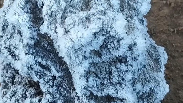 Kawasan puncak gunung gede pangrango diselimuti es