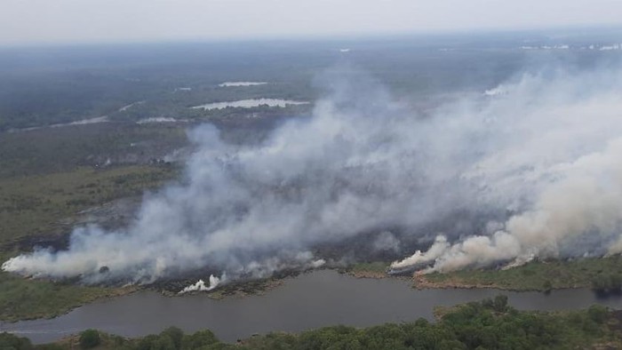 Kondisi lahan terbakar di Riau
