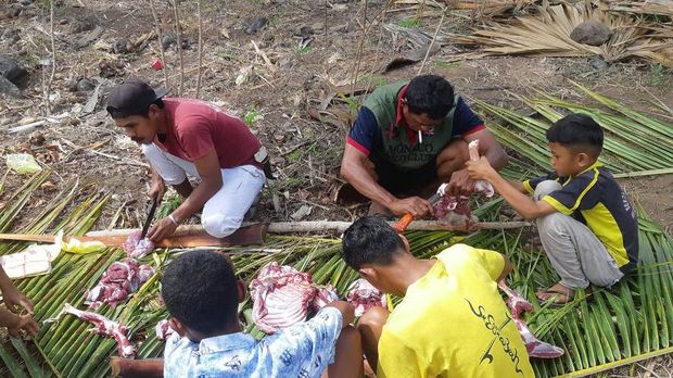 Donasi sahabat baik untuk kurban Idul Adha sampai ke 3 desa di Pulau Adonara, Flores Timur, Nusa Tenggara Timur.