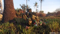 Setelah wilayah sasaran pantai dapat dikuasai, bantuan tembakan dari Kapal Perang Republik Indonesia (KRI) Radjiman Wedyodiningrat 992 dilakukan untuk membuka jalan pasukan menuju target sasaran. (Foto: Chuck Shatu Widarsa/detikJatim)
