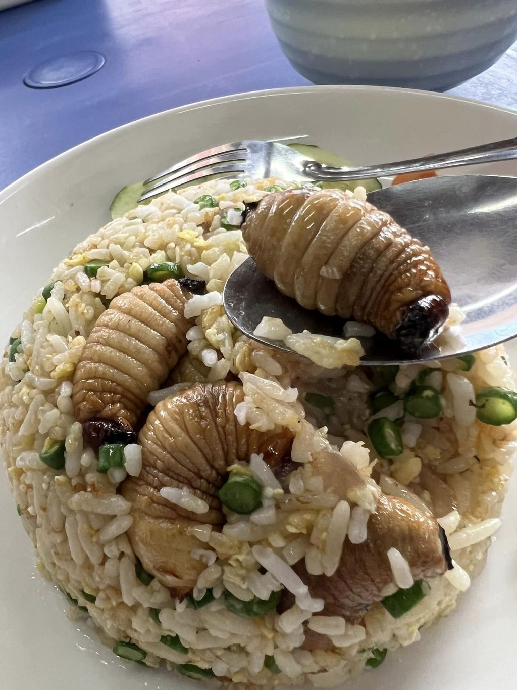 kreasi nasi goreng nyeleneh