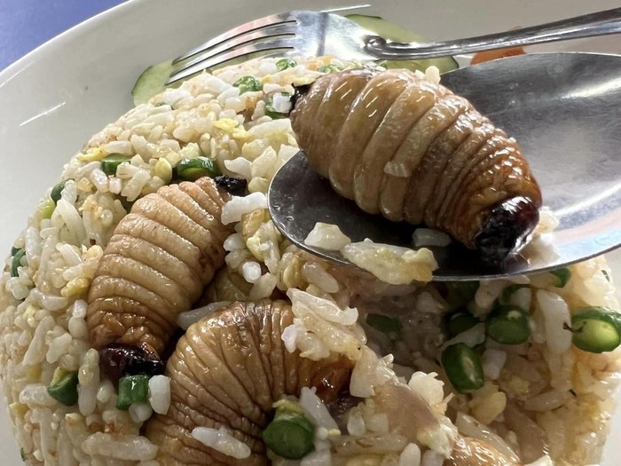 kreasi nasi goreng nyeleneh