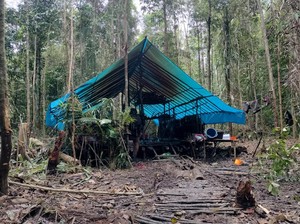Detik-detik Penggerebekan Markas KKB di Hutan Belakang Kantor Bupati Yahukimo