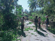 Pohon Beringin Tumbang, Jalur Kabupaten-Kota Kupang Macet 1 Kilometer