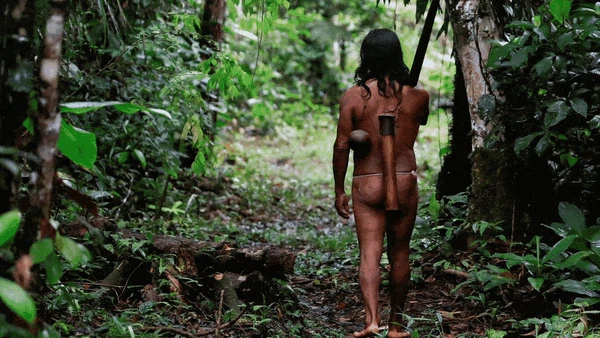 Potret Kehidupan Waorani, Suku Berbahaya di Hutan Amazon