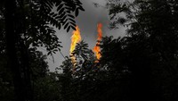 Masuk di tahun 1956, akhirnya suku Waorani melakukan kontak dengan dunia luar. Salah satu alasannya, diperkirakan adalah karena hutan Amazon yang makin lama makin dijarah. Penebangan liar dan pembakaran hutan, mengancam hidup mereka.  