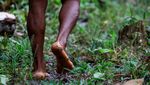Potret Kehidupan Waorani, Suku Berbahaya di Hutan Amazon