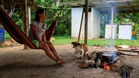 Kabar yang beredar, terjadi perpecahan di dalam suku Waorani. Ada yang mau kontak dengan dunia luar dan ada yang tidak. Mereka yang tidak mau, masuk ke dalam wilayah hutan yang lebih terpencil.  
