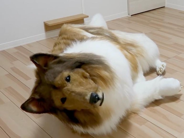 Pria Memakai Kostum Anjing