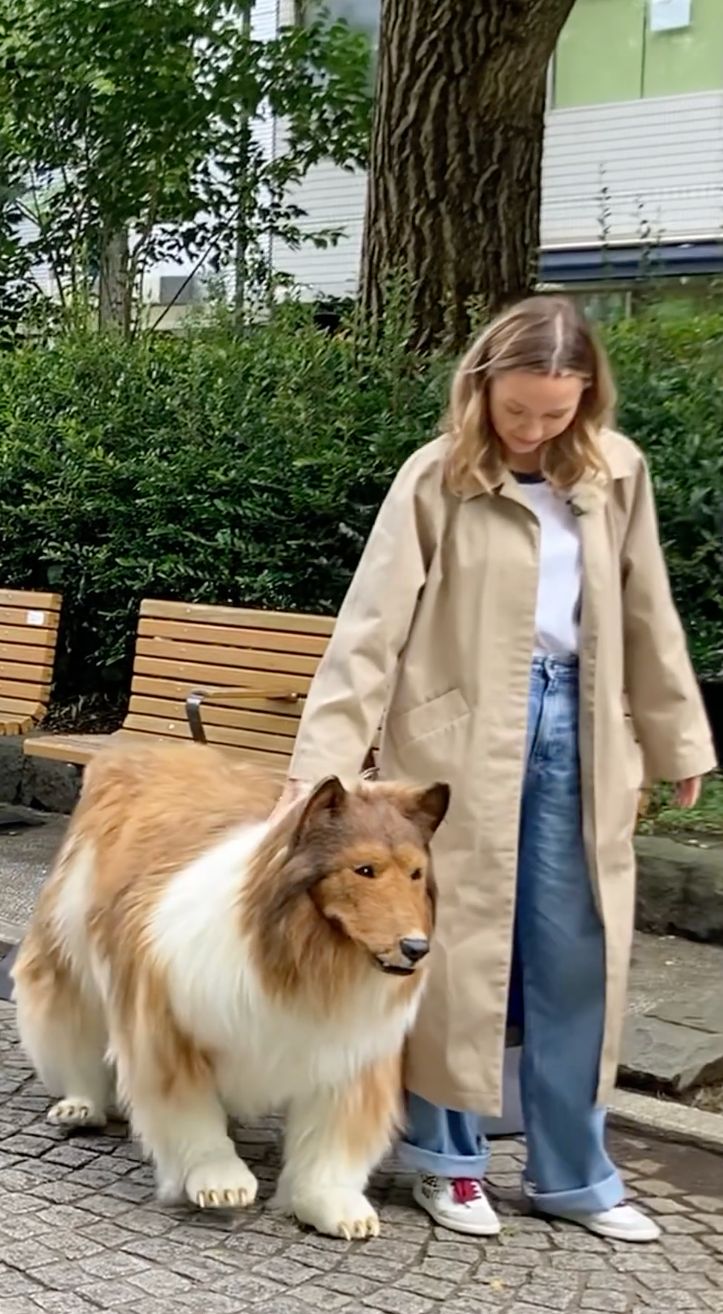 Pria Memakai Kostum Anjing
