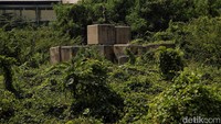 Semak belukar tumbuh tinggi di lokasi tersebut.  