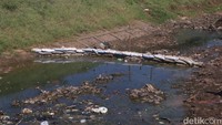Petani membendung aliran sungai agar air terkumpul di titik yang ditentukan dan nantinya dilakukan penyedotan dan dialirkan ke lahan sawah. (Foto: Wisma Putra/detikJabar).