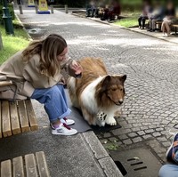 Toco tak pernah menunjukkan wajahnya sebagai manusia dalam berbagai videonya. Dia benar-benar tampil sebagai anjing Collie, memakai kostum yang dibuatnya sendiri. Foto: Dok. YouTube @I_want_to_be_an_animal