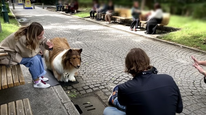 Toco, Manusia Pakai Kostum Anjing