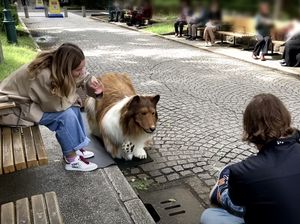 Analisis Psikolog soal Toco Pria Jepang yang Berperilaku Bak Anjing