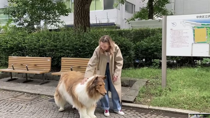 Toco, Manusia Pakai Kostum Anjing
