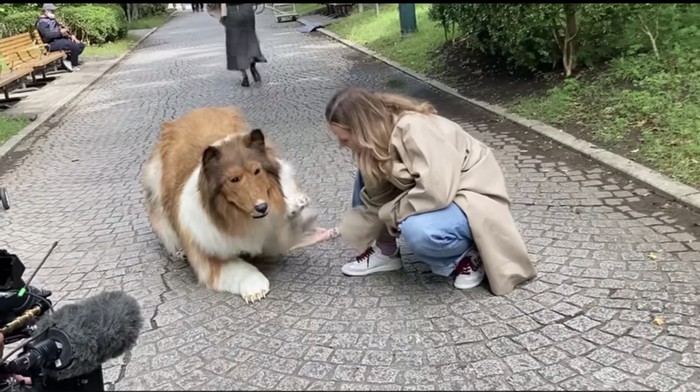 Toco, Manusia Pakai Kostum Anjing
