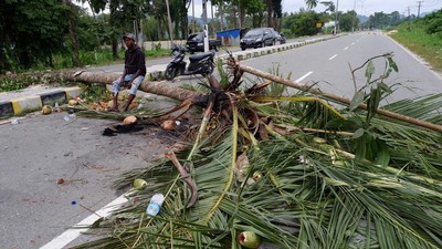 Jalan Holtekamp Papua Diblokir, Ada Apa?