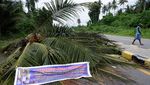 Jalan Holtekamp Papua Diblokir, Ada Apa?