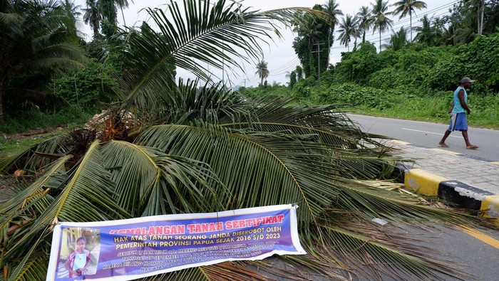 Aksi tutup jalan di Papua Warga melintas di dekat batang pohon kelapa yang melintang di KM 13 Jalan Holtekamp, Kota Jayapura, Papua, Rabu (2/8/2023). Menurut warga setempat penutupan jalan menggunakan pohon kelapa tersebut sebagai upaya warga meminta ganti rugi tanah ulayat mereka yang dijadikan jalan ke Pemprov Papua. ANTARA FOTO/Sakti Karuru/aww.