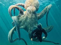 Deretan Benda Ukuran Raksasa di Dunia Bikin Manusia Bak Semut