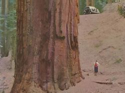 Deretan Benda Ukuran Raksasa di Dunia Bikin Manusia Bak Semut