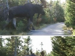 Deretan Benda Ukuran Raksasa di Dunia Bikin Manusia Bak Semut