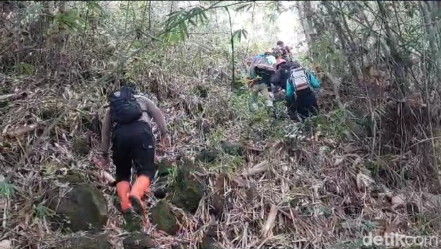 Evakuasi pendaki yang mengalami hipotermia di Gunung Lemongan, Lumajang.