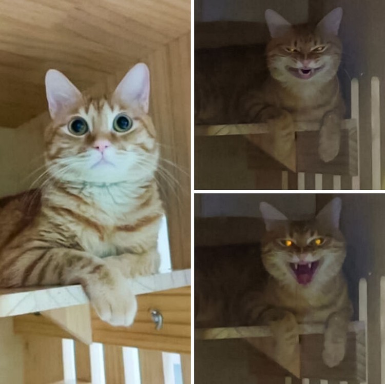 Hewan menakutkan