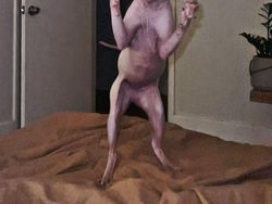 Deretan Foto Hewan Peliharaan Jadi Monster Menakutkan