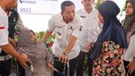 Momen Ratusan Murid PAUD-TK di Klaten Ikuti Semarak Anak Edukatif Fest