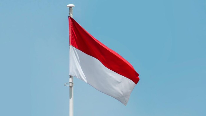 ilustrasi bendera merah putih
