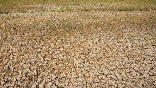 Ilustrasi kekeringan