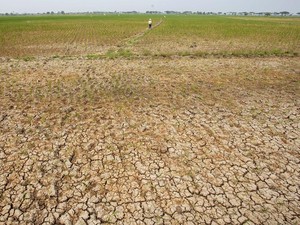 Cuaca Jogja Hari Ini: Tidak Ada Potensi Hujan