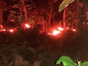 15 Hektar Hutan Jati Perhutani di Situbondo Dilalap Si Jago Merah