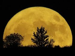 Melihat Keindahan Terbitnya Supermoon di Berbagai Belahan Dunia
